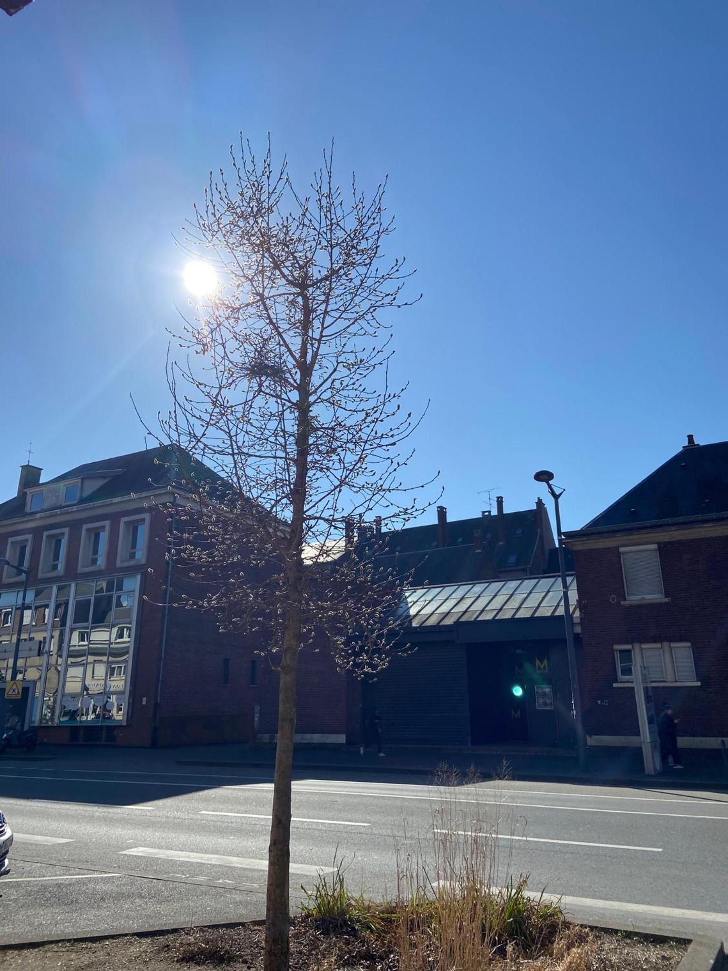 2 Chambres Hyper Centre Avec Place De Parking Et Wifi 阿棉 外观 照片